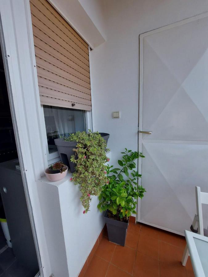 Center Danube Street Apartment Újvidék Kültér fotó