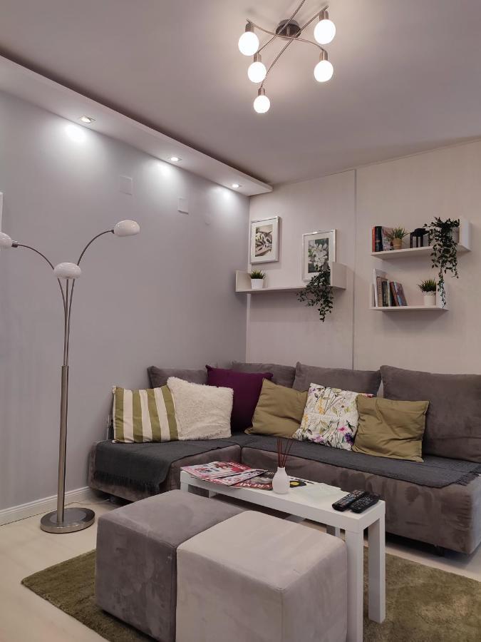 Center Danube Street Apartment Újvidék Kültér fotó