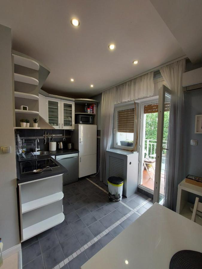 Center Danube Street Apartment Újvidék Kültér fotó