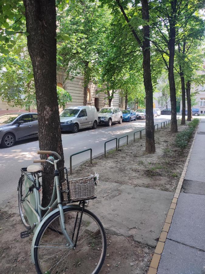 Center Danube Street Apartment Újvidék Kültér fotó